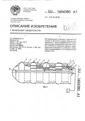 Зонд (патент 1604380)