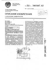 Устройство для воспроизведения постоянных и низкочастотных гармонических линейных ускорений (патент 1661647)