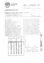Модель корневой системы растений (патент 1395209)