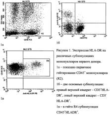 Способ оценки аллогенного иммунного ответа в кратковременной смешанной культуре мононуклеаров неродственных доноров (патент 2581925)