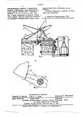 Устройство для транспортировки и сортировки лесоматериалов (патент 583061)
