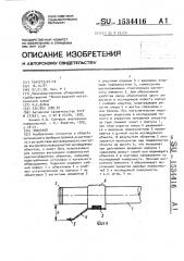 Эндоскоп (патент 1534416)