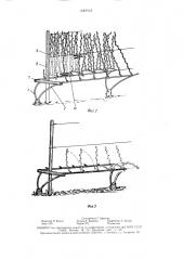 Способ формирования виноградного куста (патент 1628948)