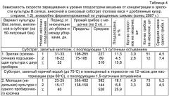 Способ бациллярной термоанаэробной подготовки качественного соломистого субстрата для интенсивного нестерильного культивирования вешенки обыкновенной (патент 2409019)