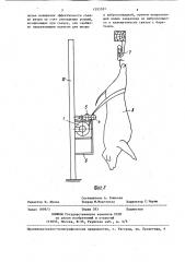 Устройство для съемки шкур с туш крупного рогатого скота (патент 1393383)
