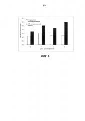 Способ повышения продуктивности эукариотических клеток в продуцировании рекомбинантного fviii (патент 2600886)
