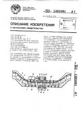 Устройство для очистки изделий (патент 1393491)