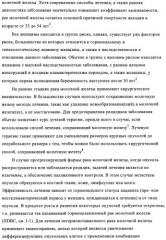 Стероидные соединения в качестве ингибиторов стероидсульфатазы (патент 2428427)