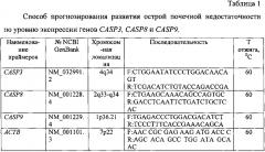 Способ прогнозирования развития острой почечной недостаточности по уровню экспрессии генов casp3, casp8 и casp9 после кратковременной ишемии почки (патент 2599099)