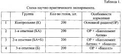 Способ кормления несушек родительского стада во второй фазе продуктивности (патент 2601580)