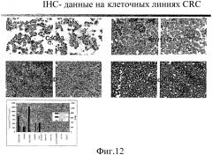 Анализы и способы, использующие биомаркеры (патент 2410438)