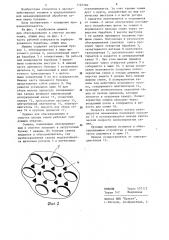 Машина для обескрыливания и очистки лесных семян (патент 1187760)
