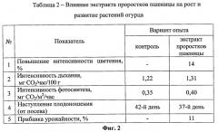 Способ получения органо-минерального стимулятора роста огурцов (патент 2535258)