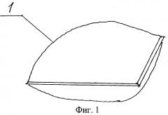 Ортопедическое устройство (патент 2393752)