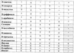 Консорциум бифидобактерий для приготовления бактерийных препаратов и биологически активных добавок к пище, предназначенных для коррекции микрофлоры желудочно-кишечного тракта детей в возрасте от 3-х до 14 лет, и способ его получения, биологически активная добавка к пище для коррекции микрофлоры желудочно-кишечного тракта детей от 3-х до 14 лет и бактериальный препарат для лечения дисбиотических состояний желудочно-кишечного тракта детей в возрасте от 3-х до 14 лет (патент 2491334)