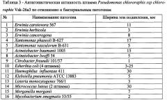 Фосфатрастворяющий штамм pseudomonas chlororaphis ssp chlororaphis vsk-26a3, обладающий фунгицидной и бактерицидной активностью (патент 2603281)