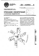 Устройство для разрушения остатков древесной растительности (патент 1029903)