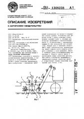Устройство для обрезки ботвы с рядка кормовых корнеплодов (патент 1308238)