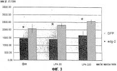 Применение рецептора edg2 на модели сердечно-сосудистой недостаточности у животных (патент 2337963)