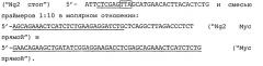 Способ блокирования сигнального пути, активируемого фактором wnt8 в клетках животных с помощью белков семейства noggin (патент 2473561)