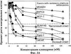 Способ определения вероятности терапевтического ответа на противораковую химиотерапию сердечным гликозидом (патент 2508114)