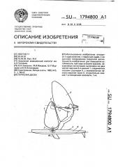 Парусная доска (патент 1794800)