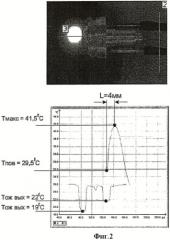 Устройство для проведения внутритканевой лазерной гипертермии и фотодинамической терапии и способ их осуществления (патент 2424009)