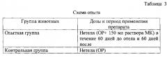 Способ подготовки нетелей к отелу (патент 2569758)