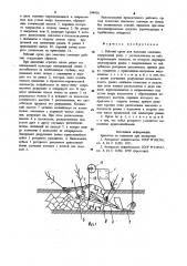 Рабочий орган для выкопки саженцев (патент 934956)