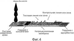 Устройства, способы и наборы для иммунохроматографии (патент 2568875)