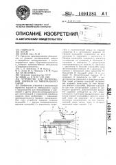 Устройство для полирования шариков из минерального сырья (патент 1404285)