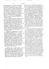 Способ дезориентации магнитных частиц в заготовке для изготовления гибких магнитных дисков (патент 1571660)