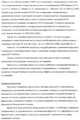 Способ получения l-аминокислот методом ферментации с использованием бактерий, обладающих повышенной способностью к утилизации глицерина (патент 2374322)