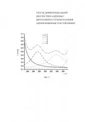 Способ дифференциальной диагностики аденомы с дисплазией iii степени и ранней аденокарциномы толстой кишки (патент 2638805)