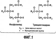 Ферментативное обессмоливание с использованием смеси фосфолипаз pla и plc (патент 2477746)