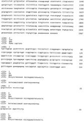 Лечение заболеваний, связанных с белком апоптозного ответа простаты par4, путем ингибирования природного антисмыслового транскрипта гена par4 (патент 2575608)