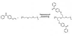 Гидрофильные гели, полученные из привитых фотоинициаторов (патент 2575348)