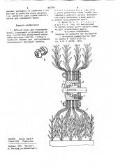 Рабочий орган для очесывания шишек (патент 967362)