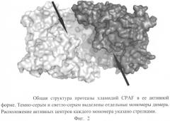 Применение индол-3-ил-глиоксиламидов для подавления хламидийной инфекции (патент 2493259)