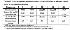 Противовоспалительная фармацевтическая композиция на основе бактериальных штаммов (патент 2616899)