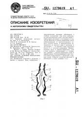 Способ лечения выпадения прямой кишки (патент 1279619)