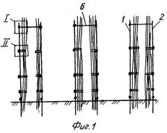 Устройство для крепления стеблей малины в вертикальном и горизонтальном положениях (патент 2275006)