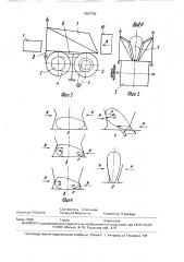Устройство для ориентирования рыбы спинкой вверх (патент 1667792)