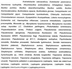 Обработанный нагреванием бактерин (варианты), способ получения такого бактерина (варианты) и вакцина, содержащая такой бактерин (патент 2425692)