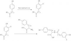 Саморассасывающиеся рентгеноконтрастные по своей природе полимеры для многоцелевого использования (патент 2396289)