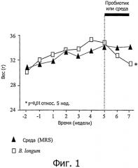 Bifidobacterium longum atcc baa-999 (bl999) и контролирование веса (патент 2567660)