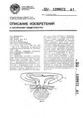 Способ лечения пузырно-влагалищного свища по м.а.морозу (патент 1289472)