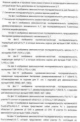 Варианты il-7 со сниженной иммуногенностью (патент 2437893)
