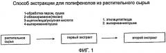 Экстракт из растительного сырья с высоким содержанием полифенола (патент 2466736)