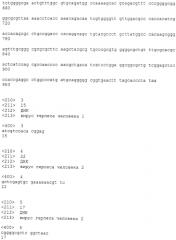Вакцины против вируса простого герпеса (патент 2575067)